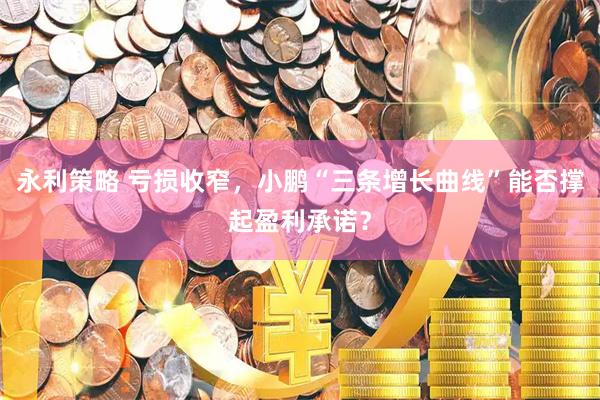 永利策略 亏损收窄，小鹏“三条增长曲线”能否撑起盈利承诺？
