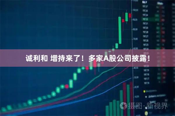 诚利和 增持来了！多家A股公司披露！