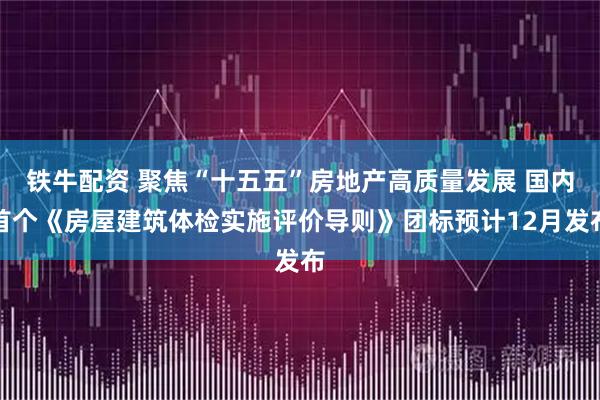铁牛配资 聚焦“十五五”房地产高质量发展 国内首个《房屋建筑体检实施评价导则》团标预计12月发布