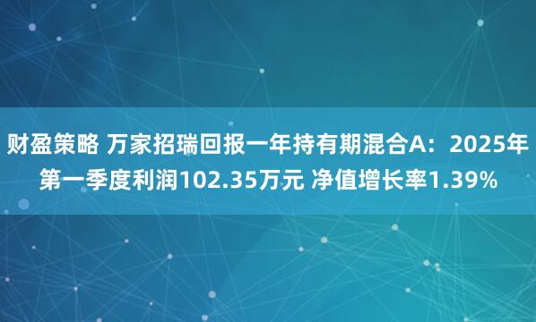 财盈策略 万家招瑞回报一年持有期混合A：2025年第一季度利润102.35万元 净值增长率1.39%