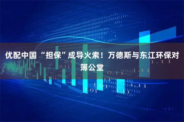 优配中国 “担保”成导火索！万德斯与东江环保对簿公堂